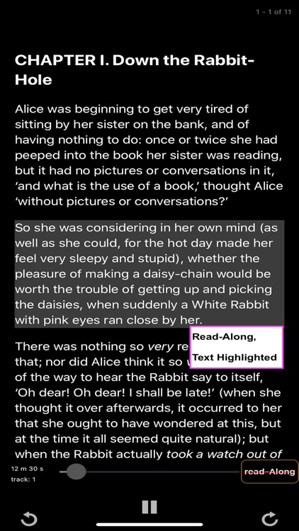 LibriVox Audiobook screenshot-3