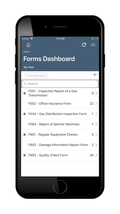 RACE Dynamic Forms iPhone screenshot