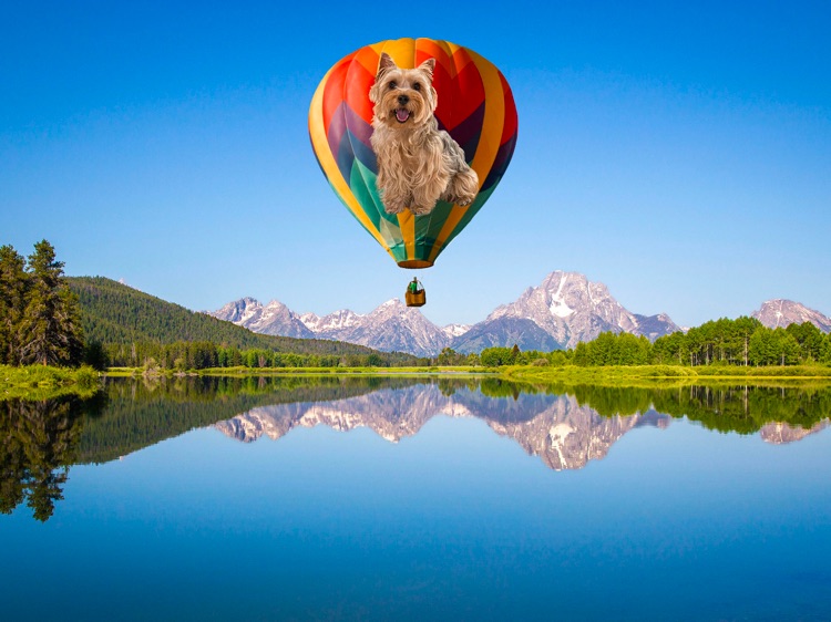 i’Syncro 3D screenshot-3