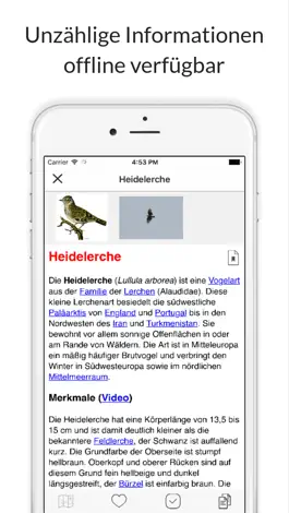 Game screenshot Tierwelt des Alpenraums apk