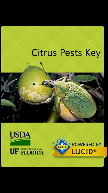 Citrus Pests Key