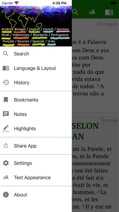 Bible in 14 world languages Screenshot