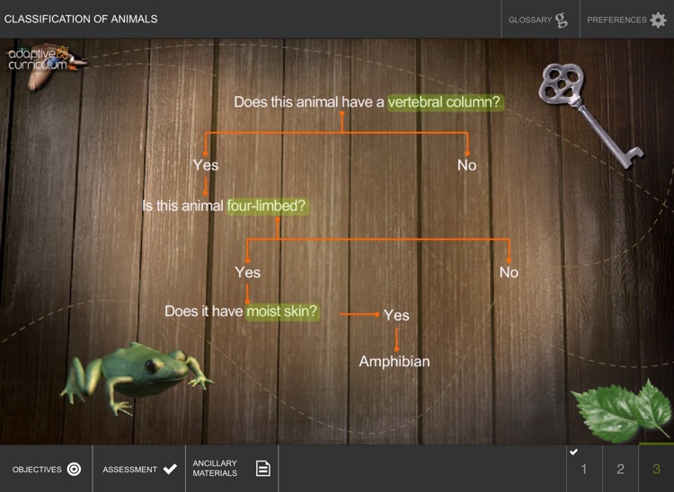 Classification of Animals screenshot-3