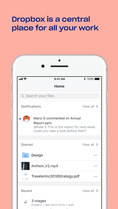 Dropbox Screenshot 1