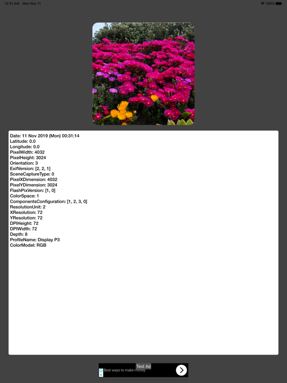 Screenshot #4 pour Photo Info Check