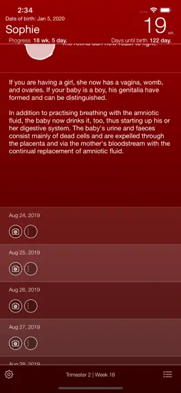 Game screenshot Pregnancy App hack
