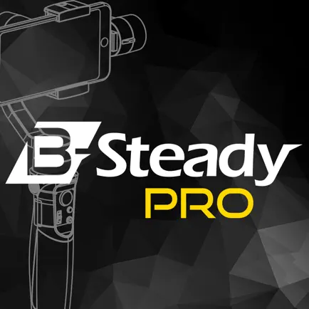 Brica BSTEADY PRO Cheats