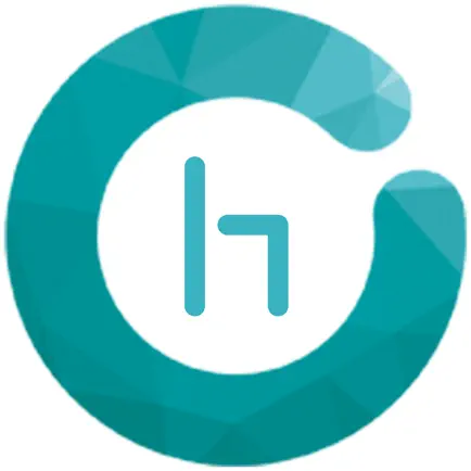 Hohem GimSet Читы