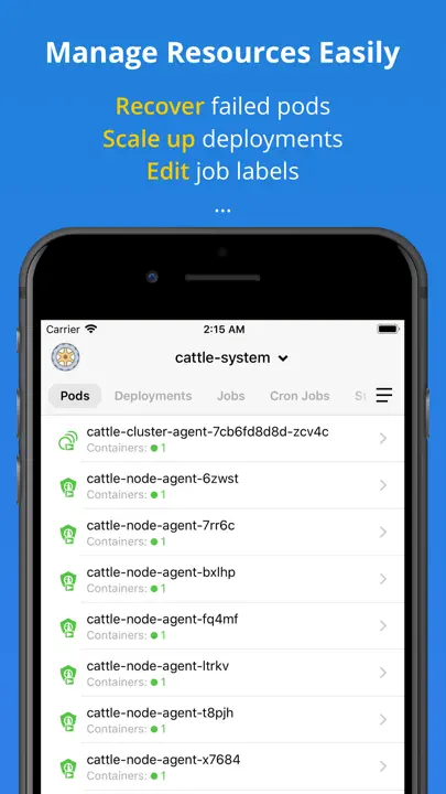 Kuber - Kubernetes Dashboard iPhone-skjermbilde 4