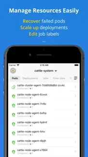 kuber - kubernetes dashboard iphone screenshot 4