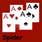 Let's Play Spider Solitaire