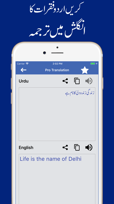 Screenshot #3 pour English Urdu Voice Translator