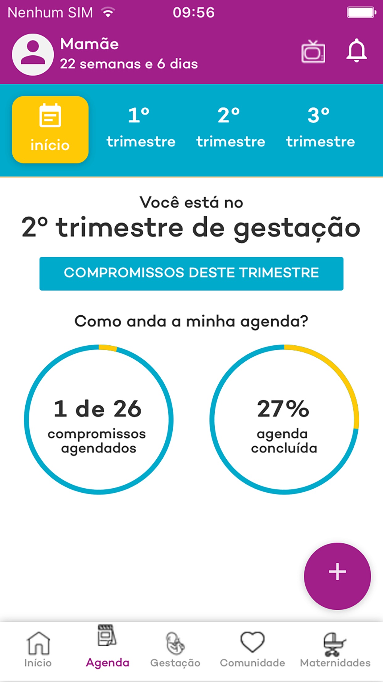 Screenshot do app Canguru Gravidez