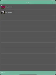 Jpeg Png Webp Converter ipad bilder 1