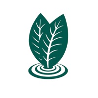 Babylon Guided Growing