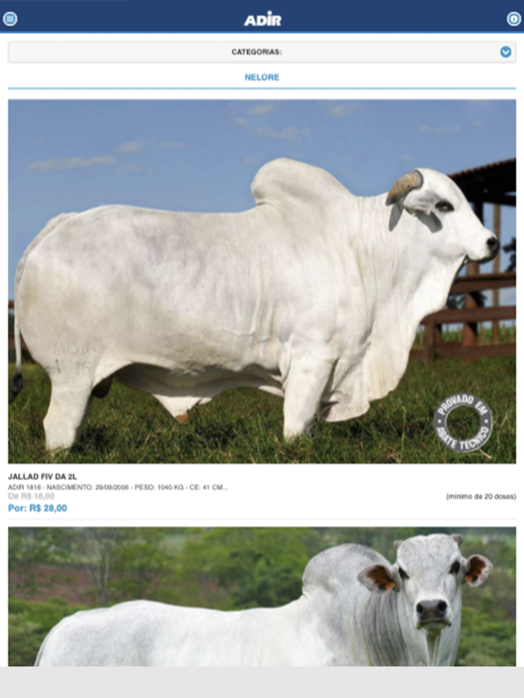 Screenshot #6 pour Grupo Adir