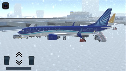 Flight 737 - Maximum Screenshot