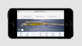 Game screenshot Anatomy U-Experiential Anatomy apk