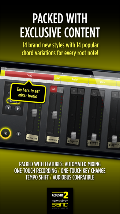 SessionBand Acoustic Guitar 2のおすすめ画像5