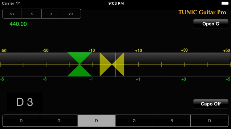 Tunic Guitar Pro
