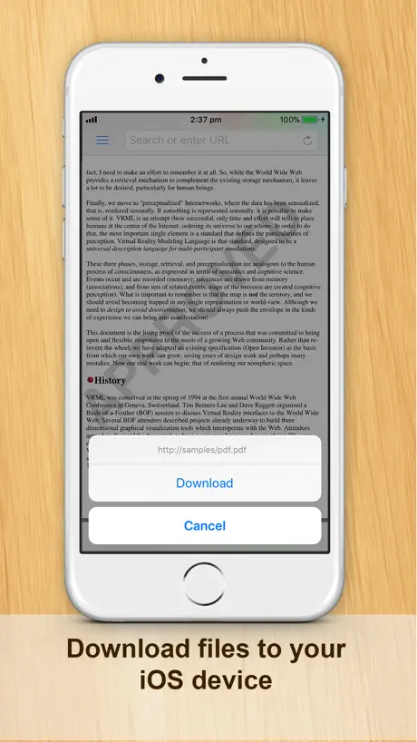Documents (Office Docs)
