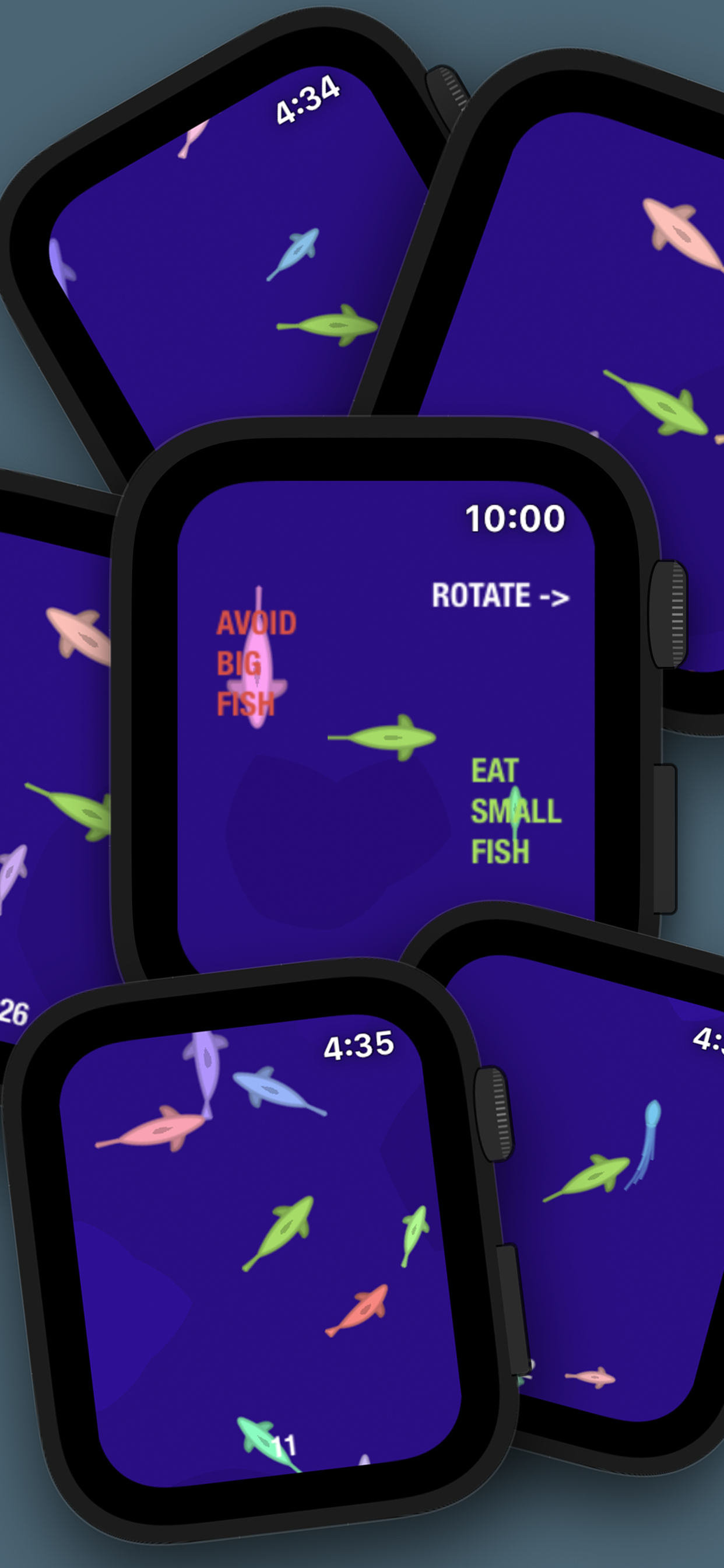 Fish in a Watch