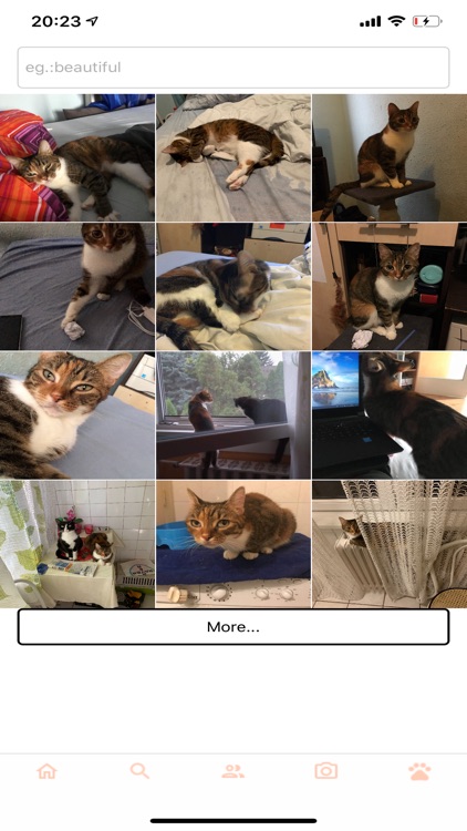 PetBellies screenshot-3