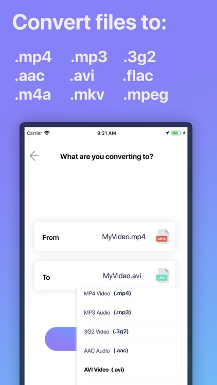 The Video Converter
