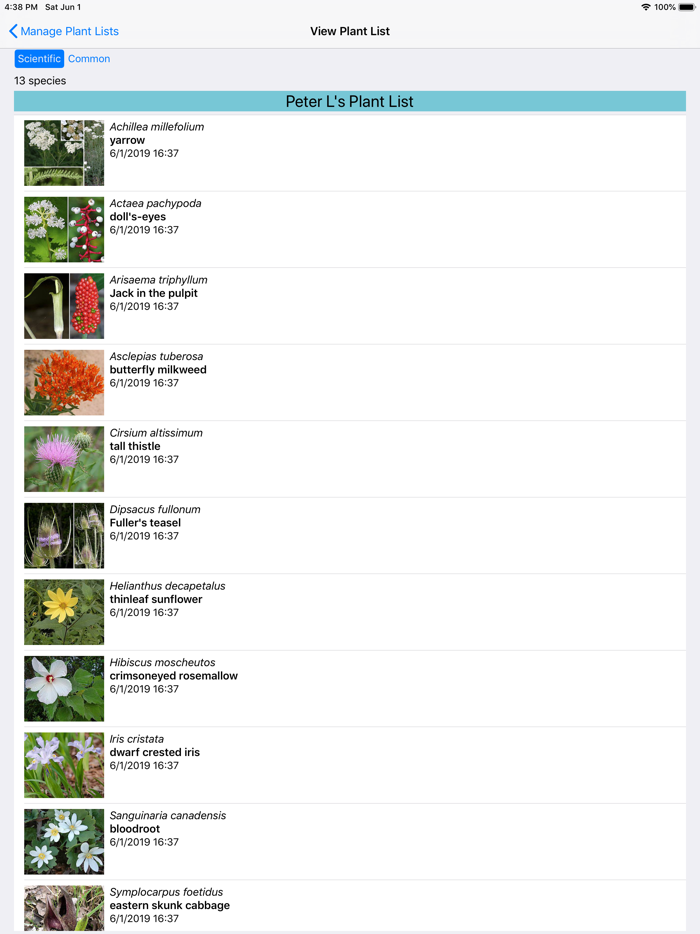 West Virginia Wildflowers