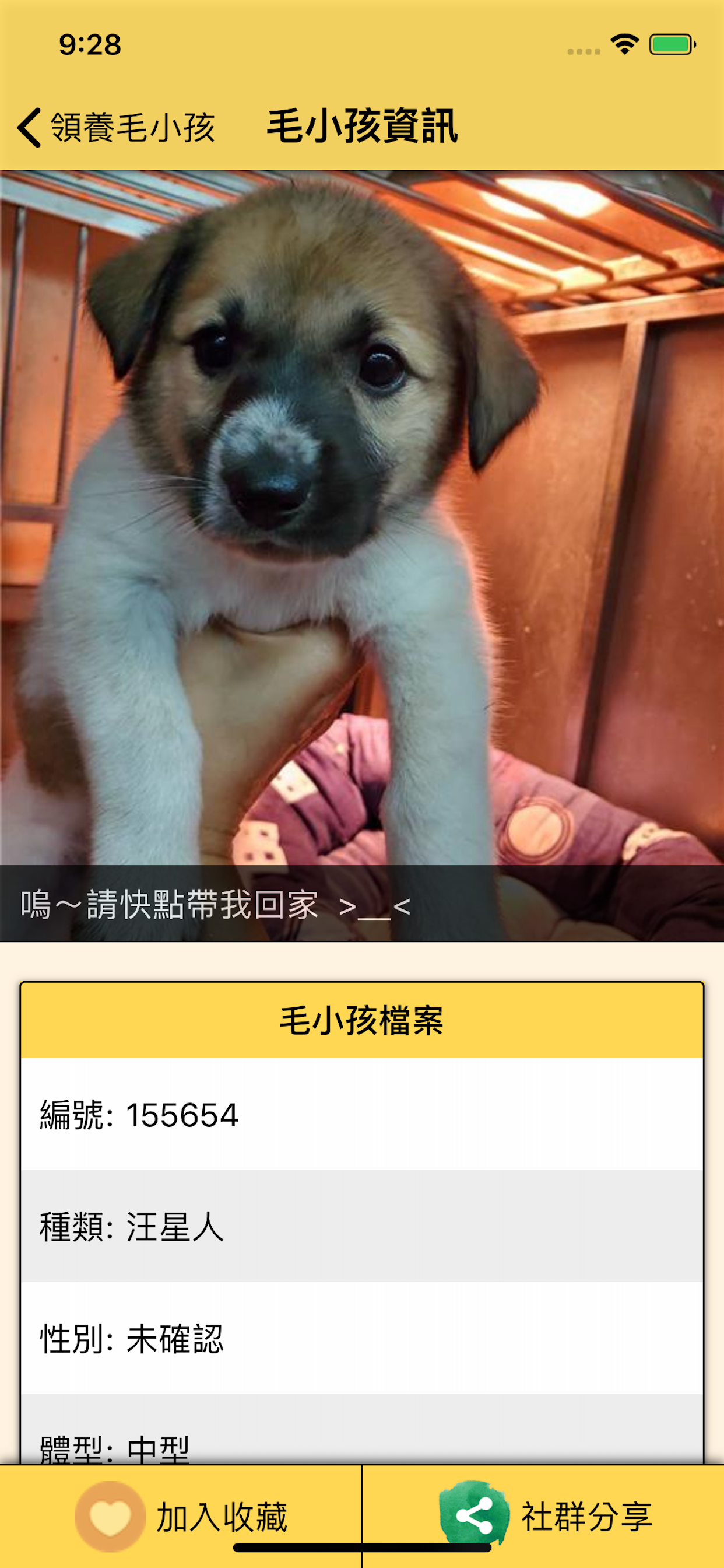 領養毛小孩