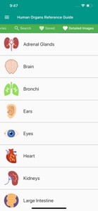 Human Organs Anatomy Reference screenshot #1 for iPhone