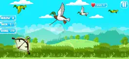 Game screenshot Big Archery Duck Hunting Game hack