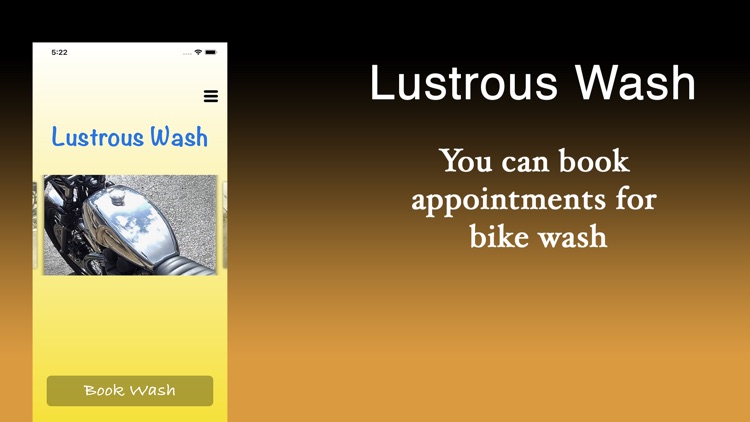 Lustrous Wash
