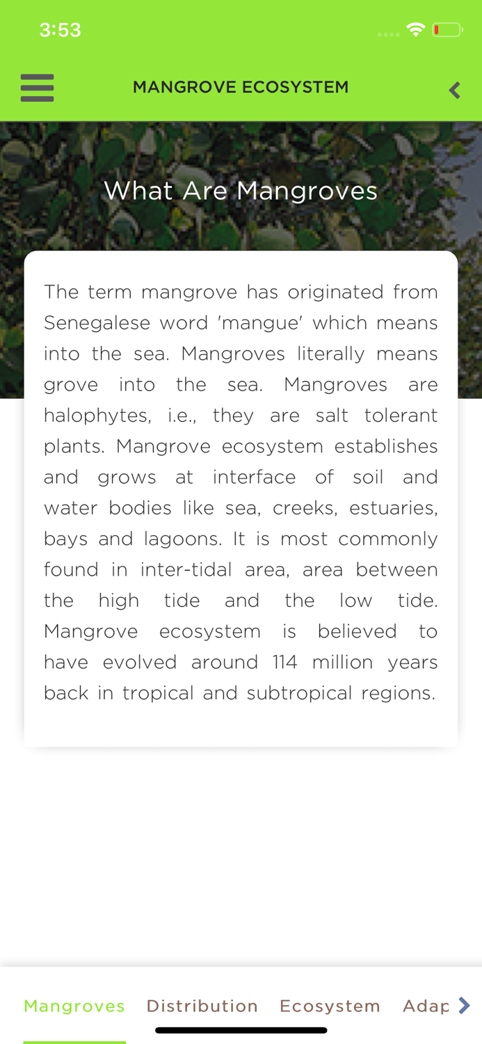 Mangrove