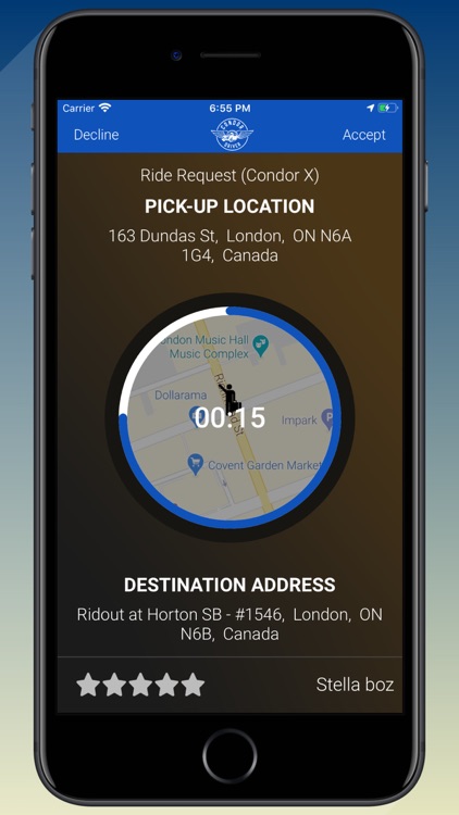 CONDOR DRIVER screenshot-4