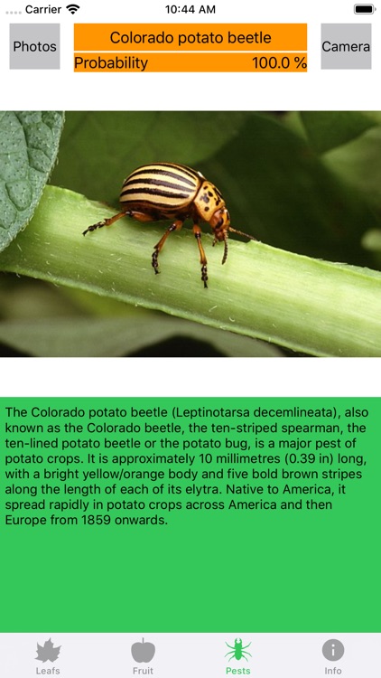 Plant diseases and pests screenshot-3