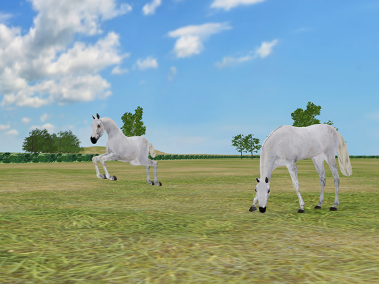 Jumpy Horse Breeding iPad app afbeelding 6