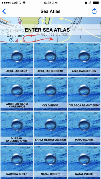 Operational Oceanography