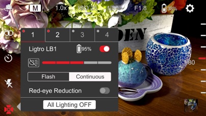 Screenshot #3 pour Ligtro
