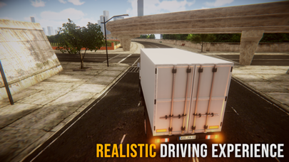 Truck Driver Over the Road screenshot 4