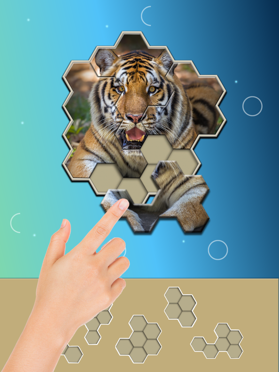 Screenshot #6 pour Jigsaw Hexa Block