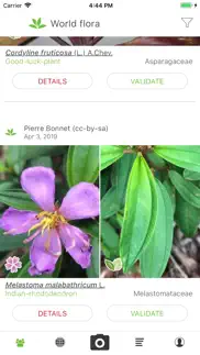 plantnet iphone screenshot 1