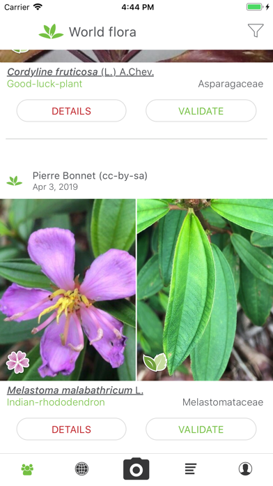 PlantNet Screenshot