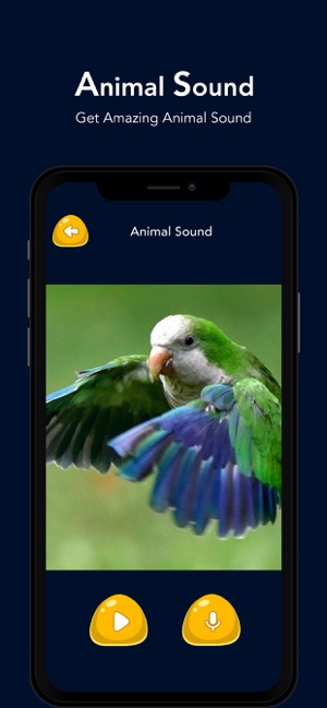 Animal Sound - Zoo Fun(圖6)-速報App