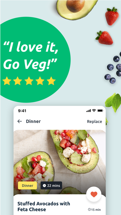 Vegetarian Meal Plan & Recipes Screenshot