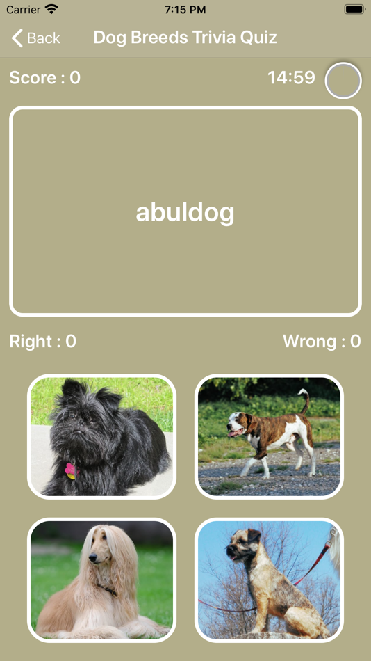 Quiz Diva Dog Breed Quiz Answers - roblox knowledge quiz my neobux portal