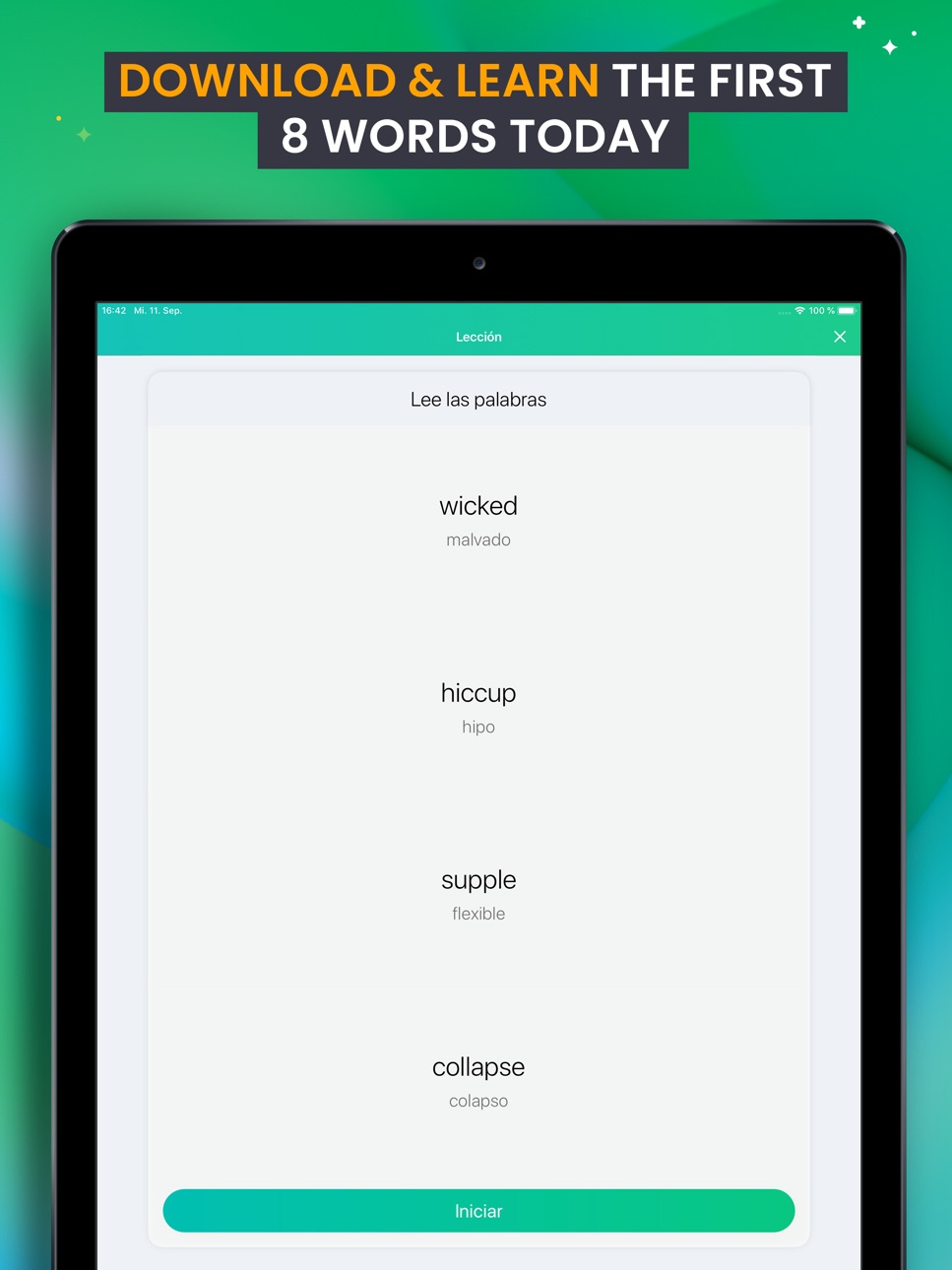 iPad screenshot