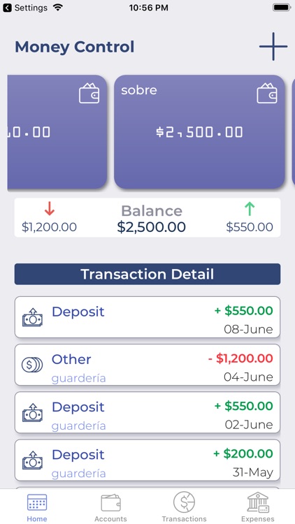 Money Tracker screenshot-4