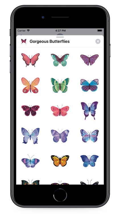 Gorgeous Butterflies