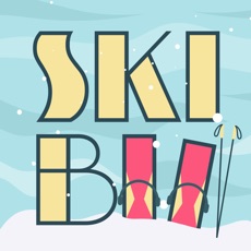 Activities of SkiBII
